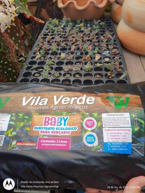 Adubo para fazer mudas de cactos ,suculentas e demais plantas