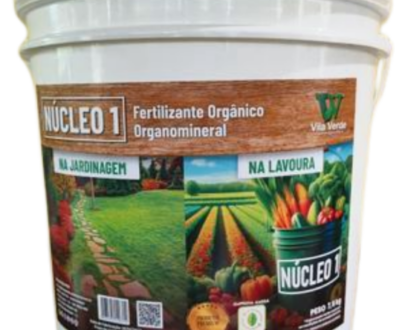 Nutrição equilibrada, resultados surpreendentes